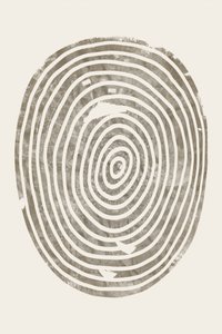 Anillos concéntricos de madera