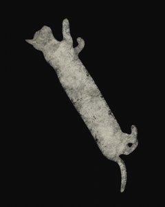 Elegante gato estirándose de Ema Paraschiv