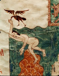 Cuervo hurgando en un cadáver de Emeterio the Monk