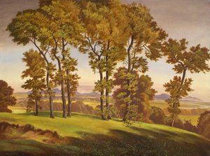 paisaje con arboles
