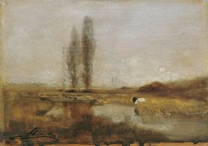 Páramos cerca de Lundenburg de Emil Jakob Schindler