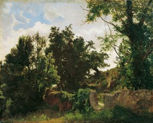 Muralla del castillo de Plankenberg de Emil Jakob Schindler