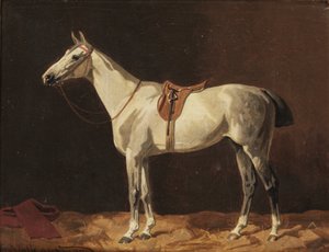 Un caballo gris ensillado esperando en un establo