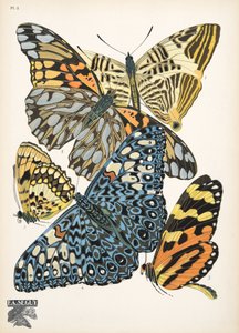 Lámina 3, de Papillons, pub. 1925 (impresión de pochoir) de Émile Allain Séguy