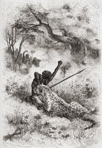 Un leopardo atacando a un africano, ilustración de 