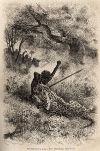 Un leopardo salta sobre un hombre y lo muerde cruelmente en la espalda, en las cercanías de Bambare (Congo), grabado según un dibujo de Emile Bayard, ilustrando el último diario de David Livingstone (1813-1873), en 1866-1873, publicado en 