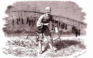 Matarratas en China. 1874 (grabado) de Emile Antoine Bayard