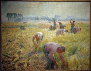 La collolte del lino