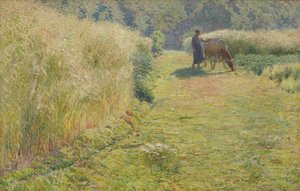 Verano