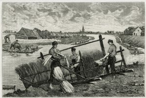 El óxido del lino (maceración para facilitar la separación de la corteza del tallo) en el Lys (río del norte de Francia y Bélgica). Grabado por Emile Claus, para ilustrar la historia “” La Belgique””, por Camille Lemonnier (1844-1913), escritor y crítico d de Emile Claus