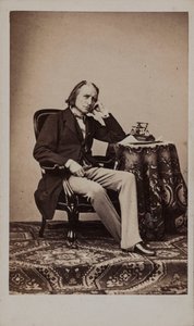 Retrato del Compositor Franz Liszt 1811-1886 de Emile Desmaisons