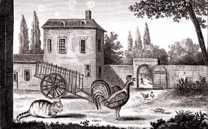 El gallo, el gato y el ratón, Fábula de La Fontaine
