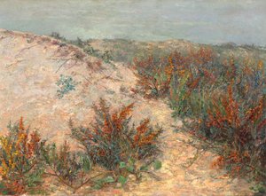 Dunas de espino amarillo cerca de Knokke