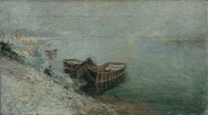 Barcos de pesca en la orilla del Danubio