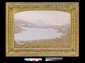 Primavera en las montañas