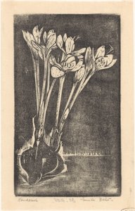 Cardo de otoño
