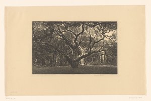 Árbol viejo de Emilius Wilhelmus Dehé (signed by artist)