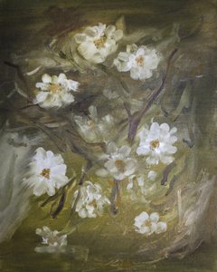 Suaves flores blancas de Emily Tingey
