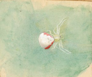 Araña de porcelana blanca de Emma Beach Thayer