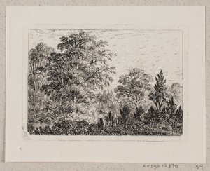 Paisaje forestal de Emma Meyer