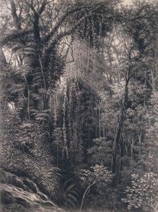 Vista del Desfiladero sobre Apia, Upolu, Samoa Occidental, 1877 de Emma Sandys