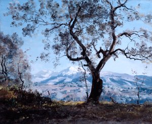 El área alrededor de Menton, cerca de Roquebrune, 1892 de Emmanuel Lansyer
