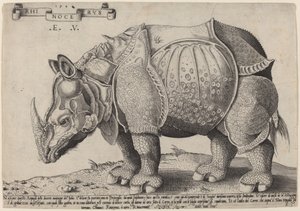 Rinoceronte de Enea Vico after Albrecht Dürer