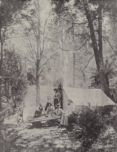 Un Campamento en el Bosque, Tasmania de English Photographer