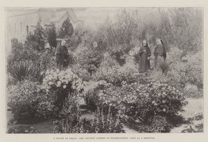 Un Refugio de Paz, el Jardín del Convento en Bloemfontein, usado como Hospital de English Photographer