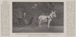 Un recuerdo de la última visita de la reina Victoria a Irlanda, Su difunta Majestad en su carro de burro en los terrenos de la Residencia Virreinal de English Photographer