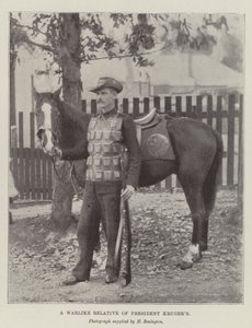Un pariente belicoso del presidente Kruger de English Photographer