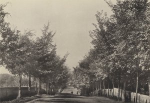 Aldeburgh, Westfields Avenue de English Photographer