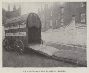 Una ambulancia para caballos discapacitados de English Photographer
