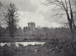 Castillo de Blarney de English Photographer