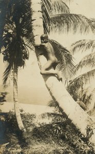 Niño trepando un árbol, Constant Bay, Jamaica de English Photographer