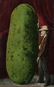 Sandia californiana (foto color)