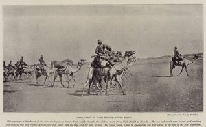 Cuerpo de camellos en Wadi Halfeh, Alto Egipto de English Photographer