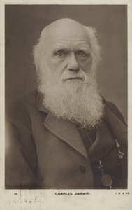 Charles Darwin (1809-1882), naturalista inglés de English Photographer