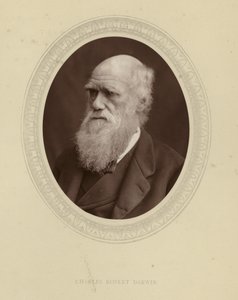 Charles Robert Darwin de English Photographer