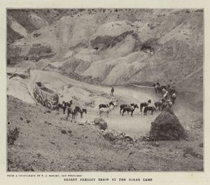 Tren de carga en el desierto en el campamento de bórax de English Photographer