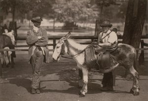 Paseos en burro en Clapham Common