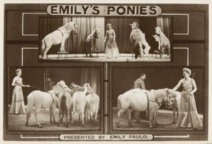 Emily Paulo y sus ponis entrenados actuando de English Photographer