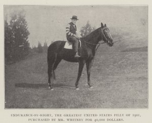 Endurance-by-Right, la Mayor Potranca de los Estados Unidos de 1901, comprada por el Sr. Whitney por 40,000 Dólares