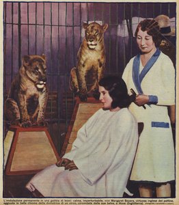 La peluquera inglesa Margaret Seyers peinando tranquilamente a un domador de leones de circo, observada por sus animales, Hove, Sussex