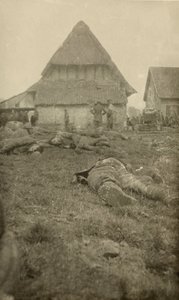 De un álbum de 134 fotografías asociadas con la Primera Guerra Mundial, Frente Occidental, 1914-18 de English Photographer