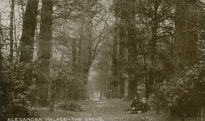 Vista general de The Grove en Alexandra Palace de English Photographer