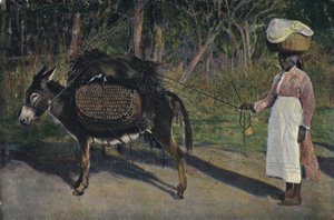 Yendo al mercado, Jamaica