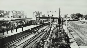 Grove Park Station: exterior y plataformas, 1888 de English Photographer