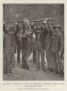 Halibut, capturado por un niño en Skagway, Alaska, con una línea y un anzuelo de madera de English Photographer