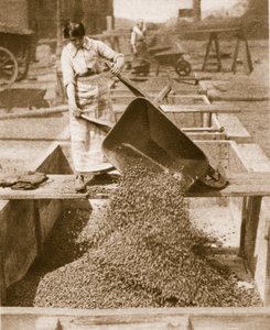 Compañeros en casa para héroes en el extranjero, 1914-19 de English Photographer